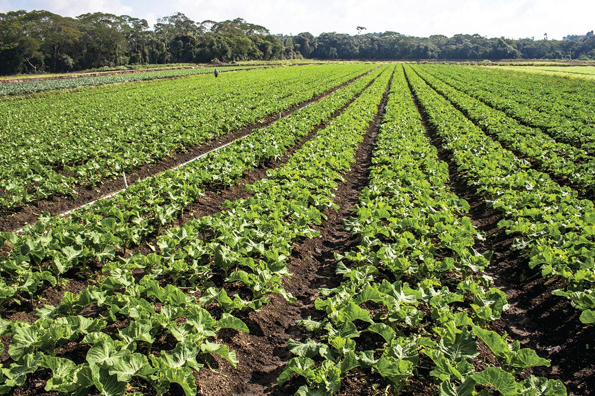 Industries South Carolina Department of Commerce