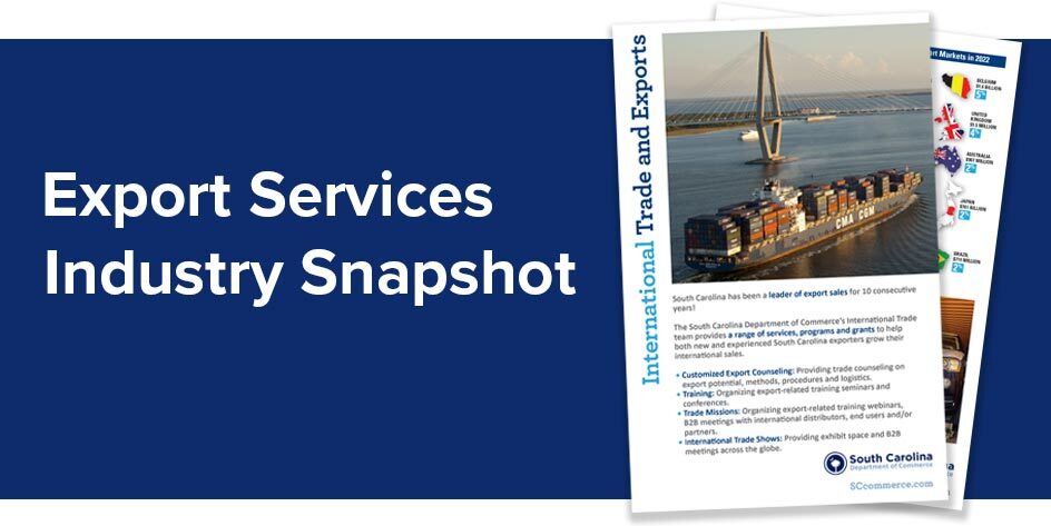 Snapshot Image with Example Report